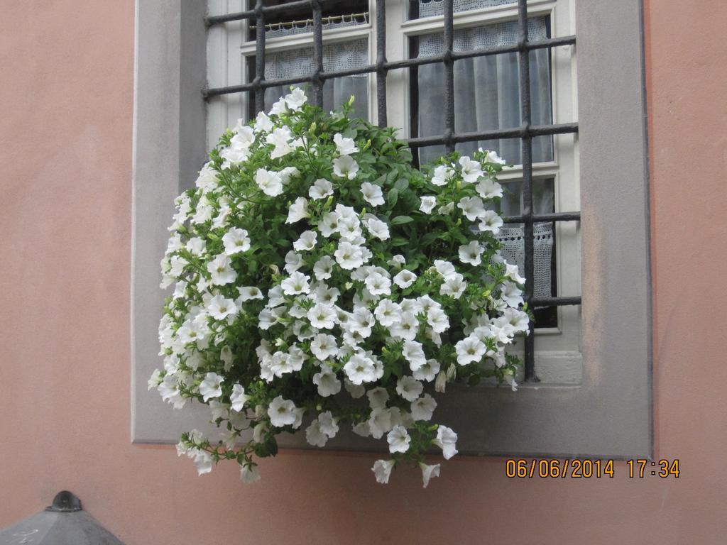 La Gatta Sul Tetto Bed & Breakfast Rossano Exterior photo
